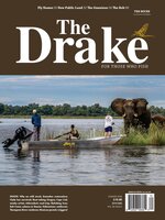 The Drake